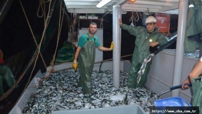 Av yasağı 1 Eylül'de kalkıyor