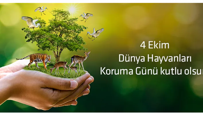 4 Ekim Dünya Hayvanları Koruma Günü