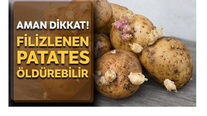 Filizlenen patatese dikkat