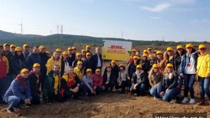 DHL Silivri'de 2.500 ağaçlık bir koru oluşturuyor