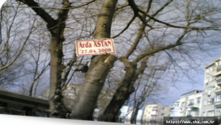 Sosyal sorumluluk bunu uygulayarak yaşamaktır