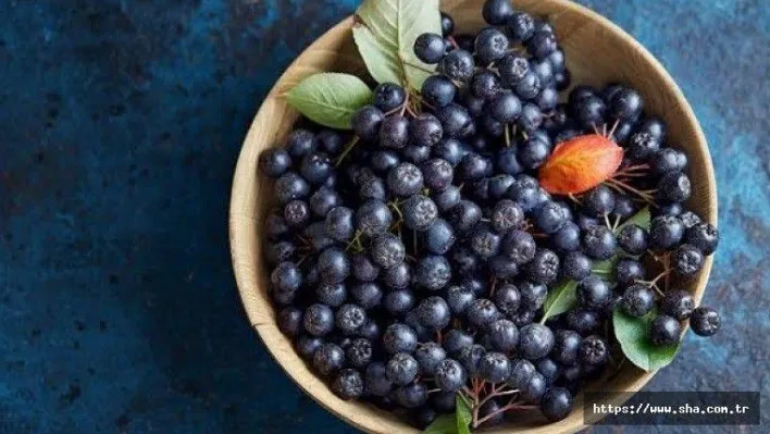Aronia meyvesi çayı nedir? Aronya çayı nerede satılır?