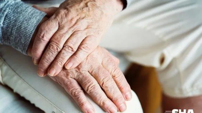 En fazla yaşlı nüfus İtalya'da, Türkiye 40'ıncı sırada