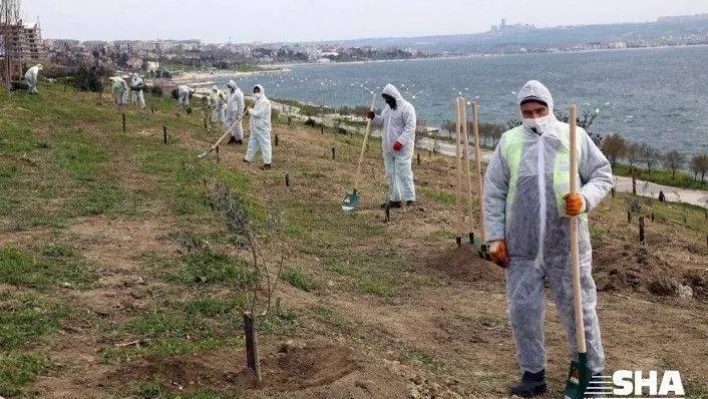 100'üncü yıl anısına 100 zeytin ağacı dikildi