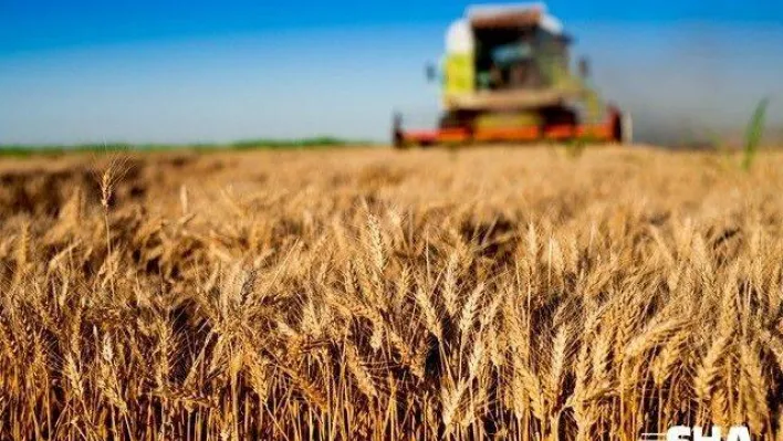 FAO Temsilci Yardımcısı Dr. Selışık: 'Dünya gıda sanayini zorlu bir dönem bekliyor'