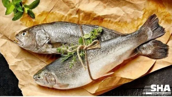 ''Güçlü bağışıklık için haftada 2 kez balık tüketin&quot