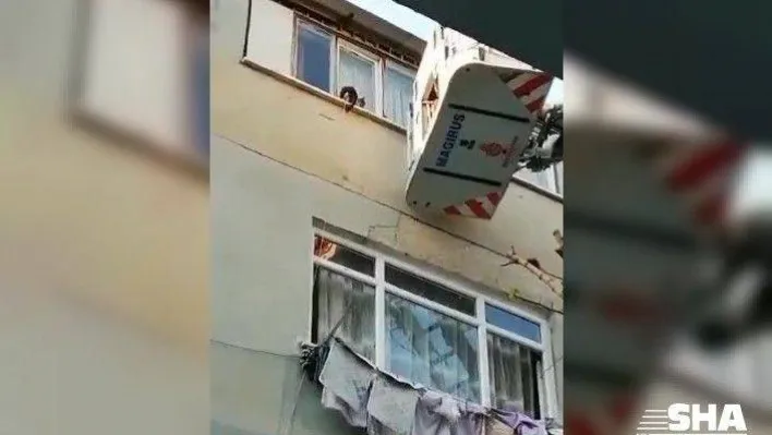 İtfaiye ekipleri 5. katın penceresinden düşen kediyi atlama çadırıyla kurtardı