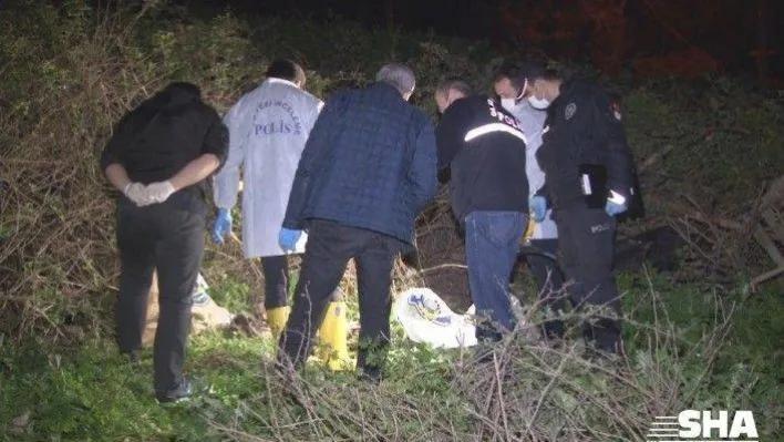 (Özel) Boş arazide çok sayıda kemik ve kafatası bulundu