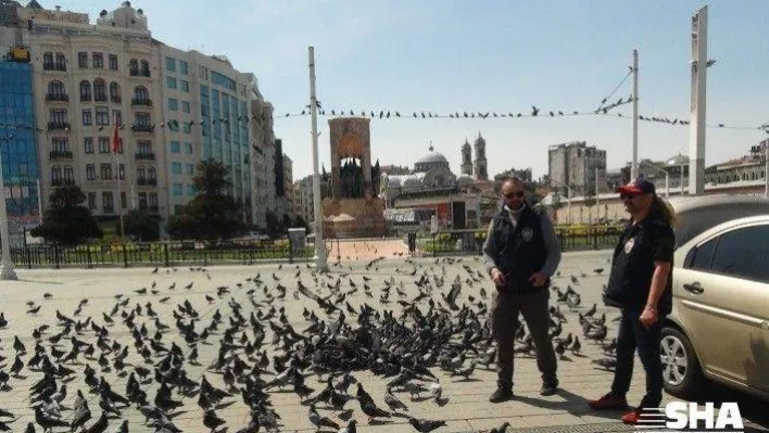 (ÖZEL) Polisler Taksim Meydanı'nda güvercinleri böyle besledi