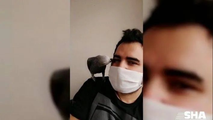 (Özel) Sahibi korona virüse yakalanan papağan Pakize: 'Evden çıkma, evde kal'