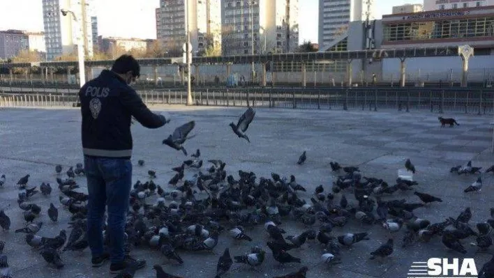 (Özel) Sokağa çıkma kısıtlamasında polis aç kalan güvercinleri elleriyle besledi