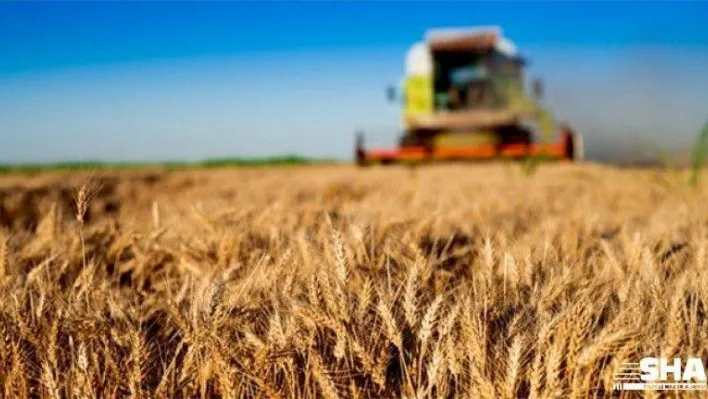 Tarım ve gıda kıymete biniyor