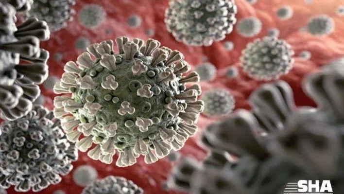 Koronavirüs hakkında çıkan haber sayısı 20 milyona yaklaştı