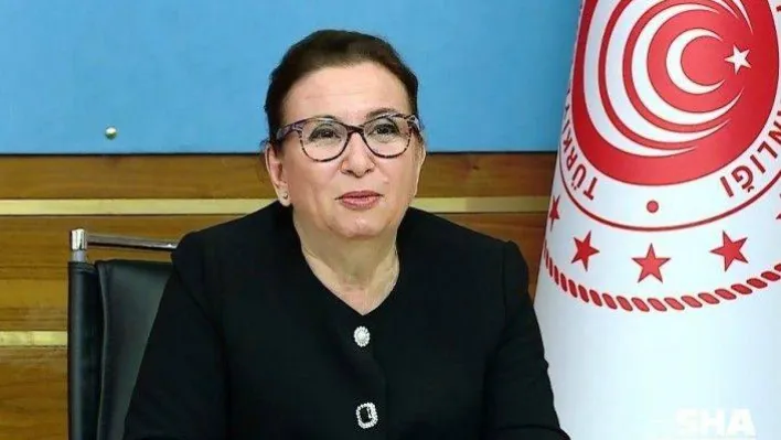 Ticaret Bakanı Ruhsar Pekcan'dan 'Ulusal Para' ile ticaret vurgusu