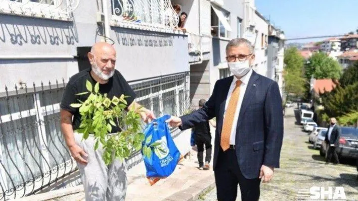 Üsküdar'da sepetler anneler için mor salkımlarla doldu