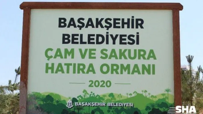 Başakşehir Şehir Hastanesi'nin çevresini süsleyen ağaçların sulama sistemleri yapılıyor