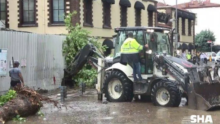 Beşiktaş'ta seyir haline olan minibüsün üzerine ağaç devrildi