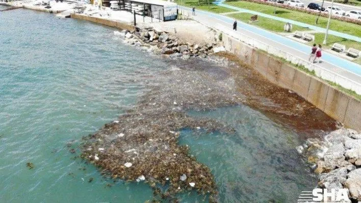 Caddebostan Sahili'nde oluşan çöpler havadan görüntülendi