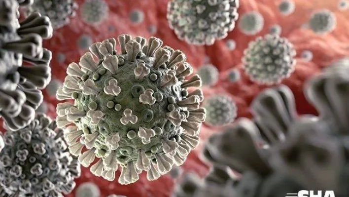 Koronavirüs etkisini sürdürmeye devam ediyor