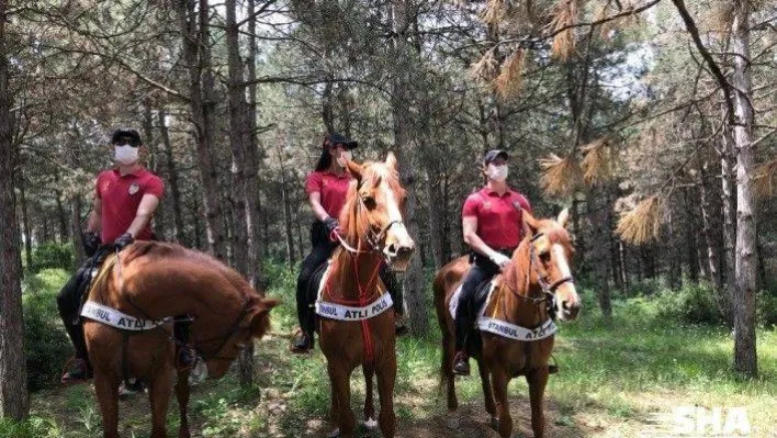 Orman yangınlarına yeni önlem 'Doğa Devriyesi'