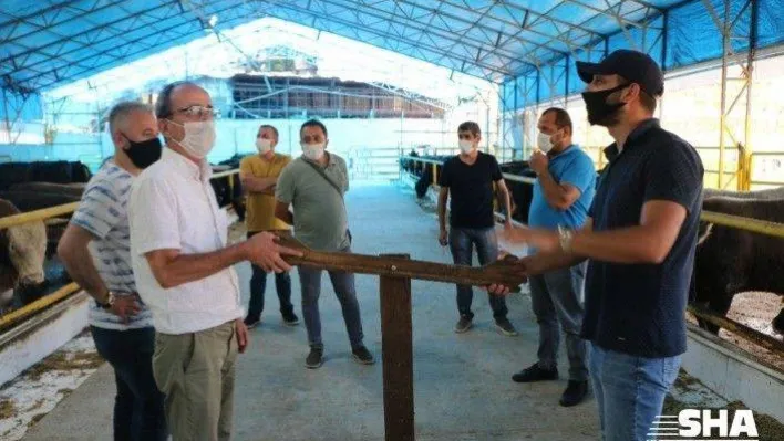 (ÖZEL) İstanbul'da kurban pazarında sosyal mesafeli pazarlık böyle görüntülendi