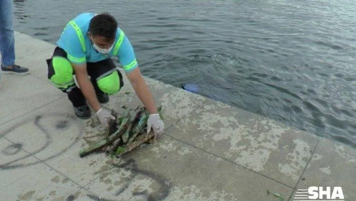 Tuzla'da atık problemine dikkat çekmek için denizden çuvallarla atık çıkarıldı