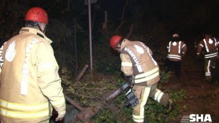 Aşırı hız yapan alkollü sürücü kaza yaptı: 2 yaralı