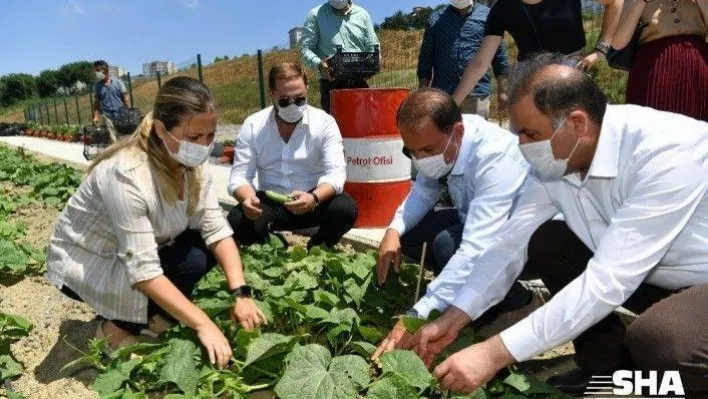 Başkan Çalık Yaşam Bahçesi'nin mahsullerini topladı