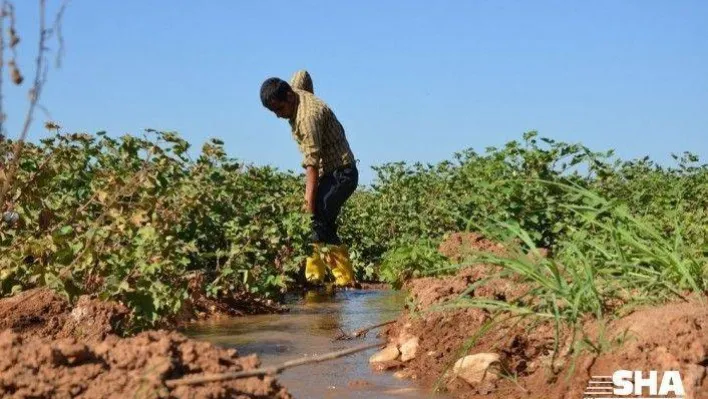 Dicle Elektrik YKB Atalay: &quotŞanlıurfa ve Mardin'de ödenmeyen borç 3.6 milyar lira&quot