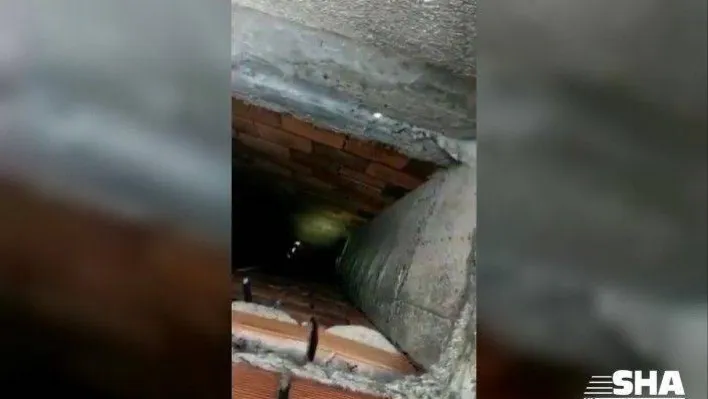 İstanbul'da çatıda nefes kesen kedi kurtarma operasyonu