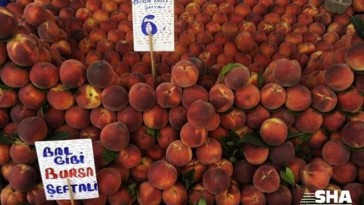 Tarlada 2 lira olan şeftali şehirde 3 katına satılıyor