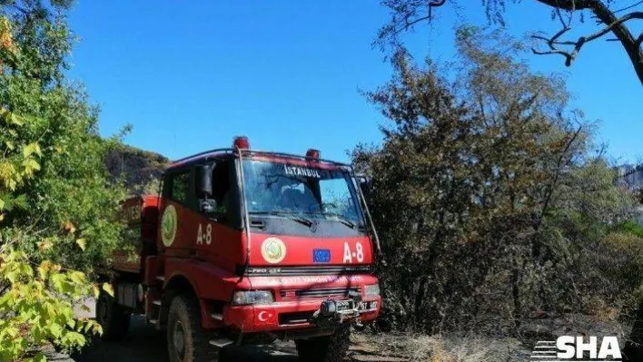 Dün küle dönen ormanlık alanda tekrardan yangın ihbarı ekipleri harekete geçirdi