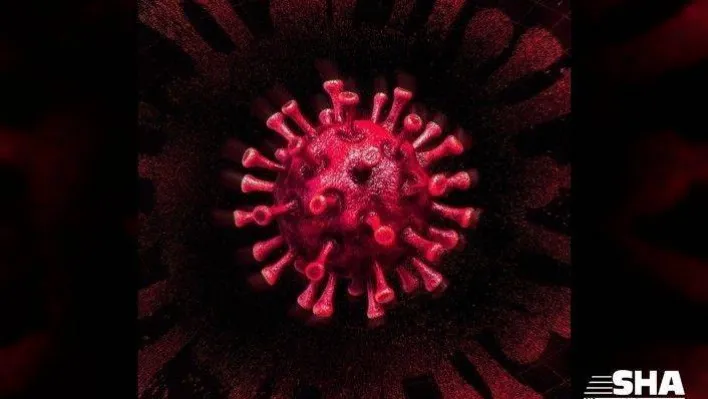 Koronavirüs hakkında çıkan haber sayısı 37 milyonu aştı