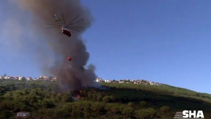 Maltepe'de ormanlık alanda yangın çıktı. Yangına itfaiye ekiplerinin yanı sıra havadan helikopterle de müdahale ediliyor.