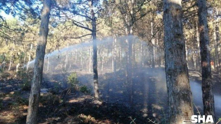 Maltepe'deki orman yangını kontrol altına alındı