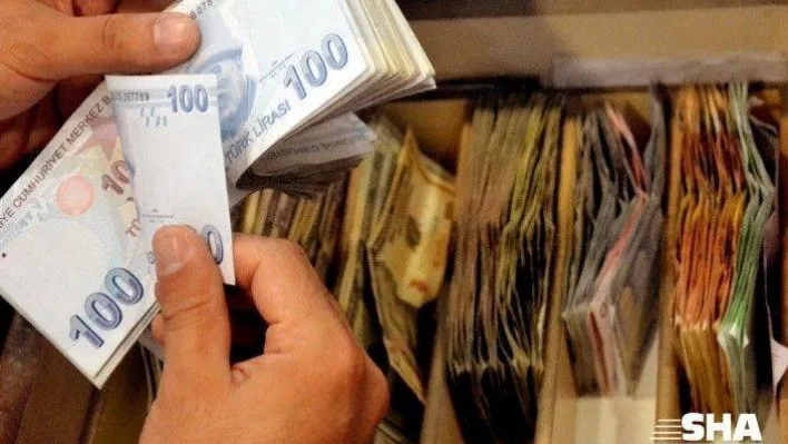 Tasarruf sahipliği oranı yüzde 14,3'e ulaştı