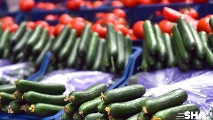 Fiyatı en fazla artan ürün salatalık oldu