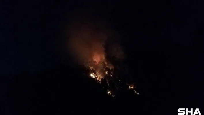 Aydos Ormanı sabaha karşı alevlere teslim oldu