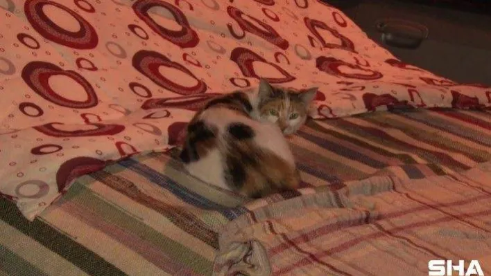 Beklenen dolu yağışı öncesi vatandaşlar araçlarını korumaya böyle aldı