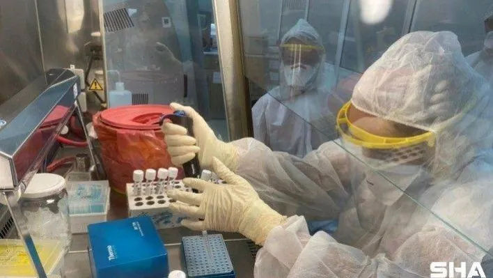 'Burun spreyi güvenli ve hücrelere zarar vermiyor'