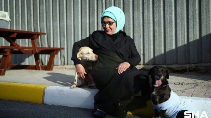 Emine Erdoğan, barınaktaki 'Leblebi' isimli engelli köpeği sahiplendi