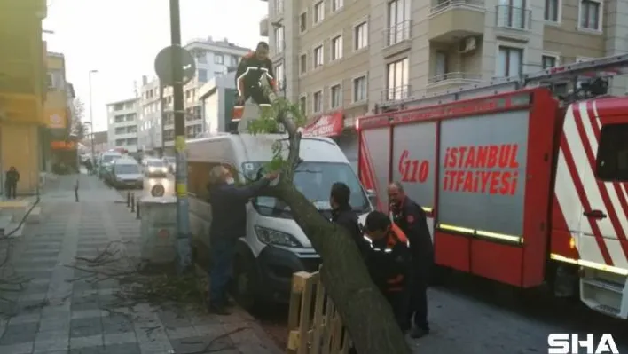 Kamyonun çarparak devirdiği ağaç başka bir araca zarar verdi