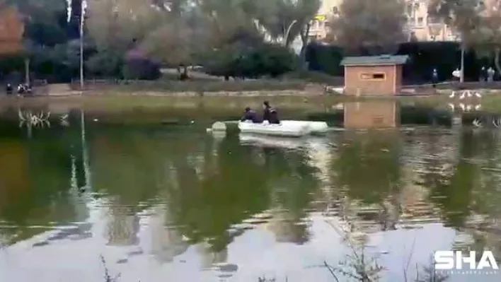 (Özel) Göletin ortasındaki yaralı martıya botla ulaşıldı