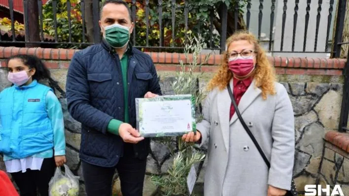 Beyoğlu'nda yeni doğan her çocuk için bir zeytin fidanı dikiliyor