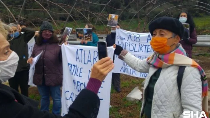 Büyükada'da 'Ruam'dan itlaf edilen atlar ölüm yıl dönümünde anıldı