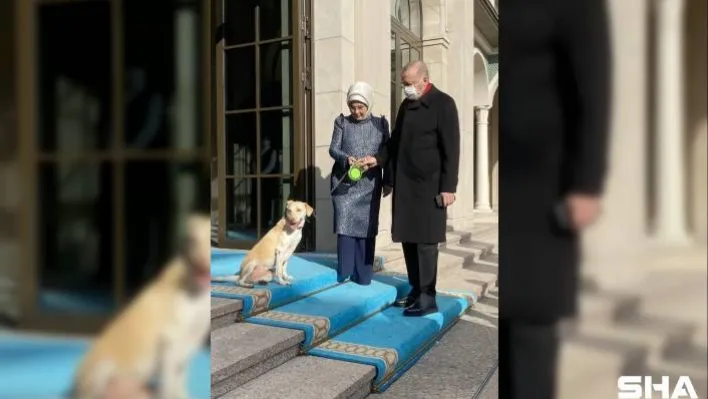 Emine Erdoğan, Cumhurbaşkanı Erdoğan'ı 'Leblebi' ile birlikte uğurladı