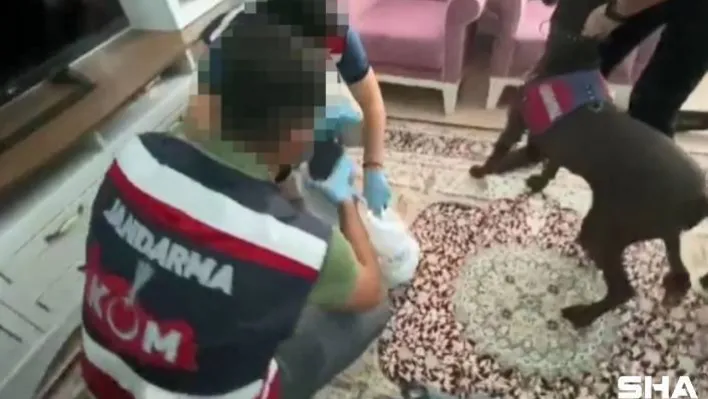 Narkotik köpeği evin her yerinde uyuşturucu buldu