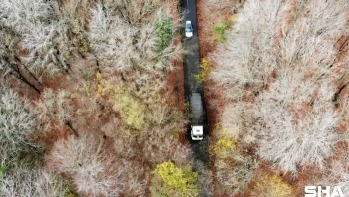 (Özel) Belgrad Ormanı'nda renk cümbüşü