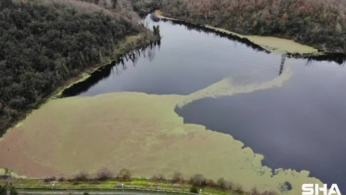 (Özel) İstanbul'da Elmalı barajı alarm veriyor,  Yüzde 24.32'ye düştü