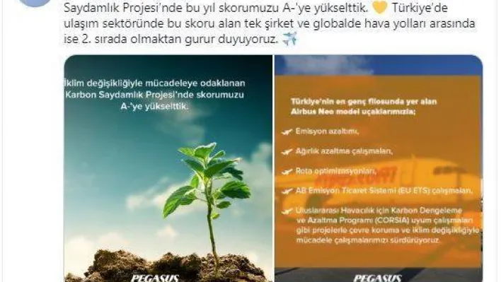 Pegasus, Karbon Saydamlık Projesi skorunu A-'ye yükseltti